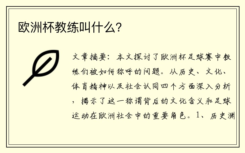 欧洲杯教练叫什么？