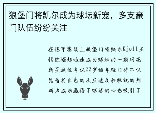 狼堡门将凯尔成为球坛新宠，多支豪门队伍纷纷关注